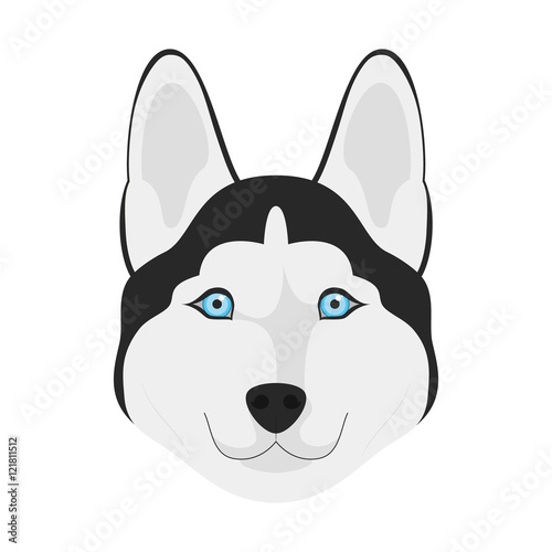 Siberian Husky dog isolated on white background vector illustration