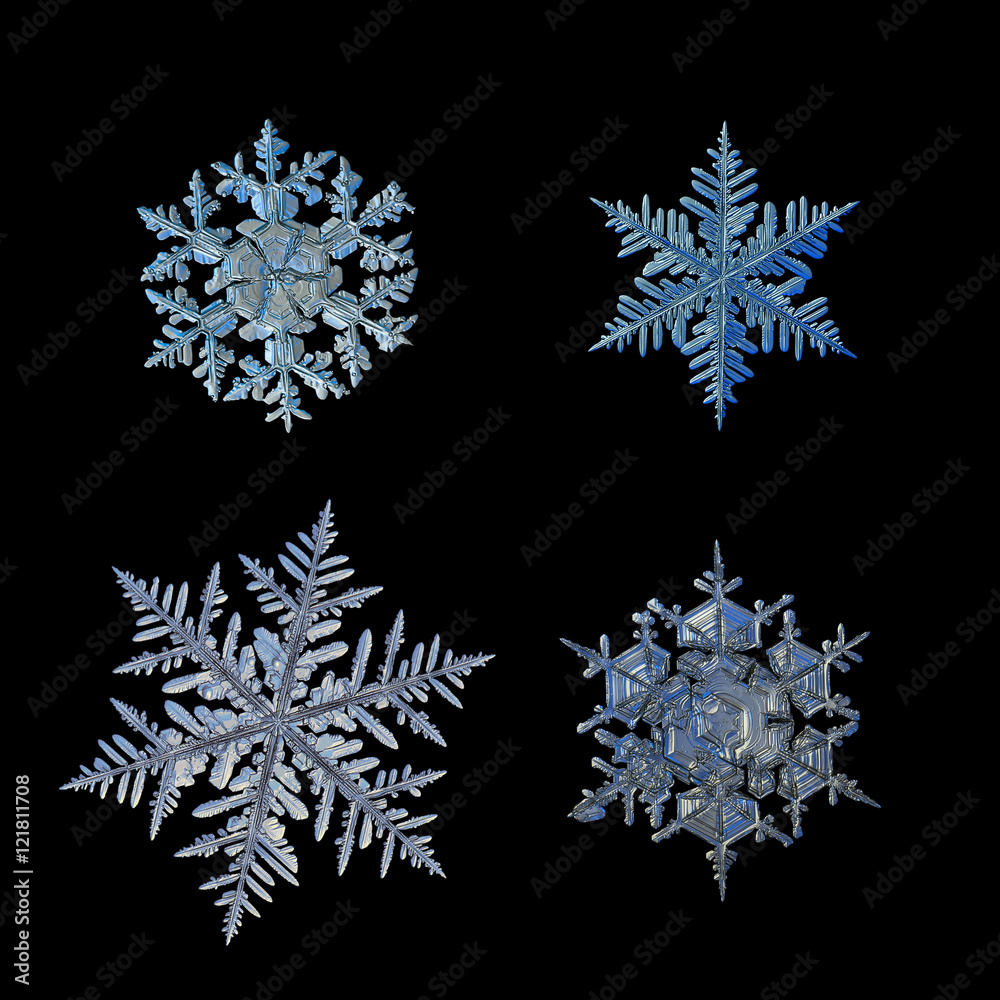 Fototapeta Set with four snowflakes, isolated on black background. This is macro photo of real snow crystals: big stellar dendrites and fernlike dendrites with complex structure.