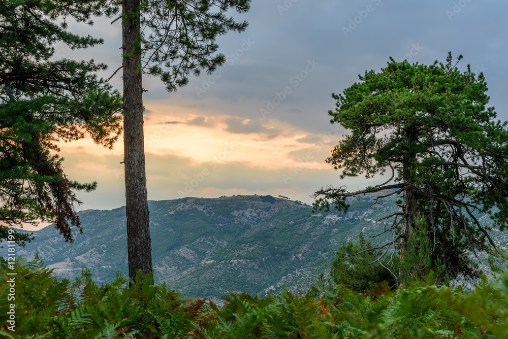 Beautiful sunset through the trees at Thassos island, Greece, popular Greek island - tourist attraction, perfect vacation spot
