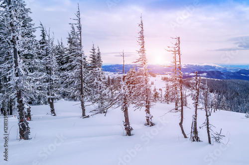 winter,trees, mountain