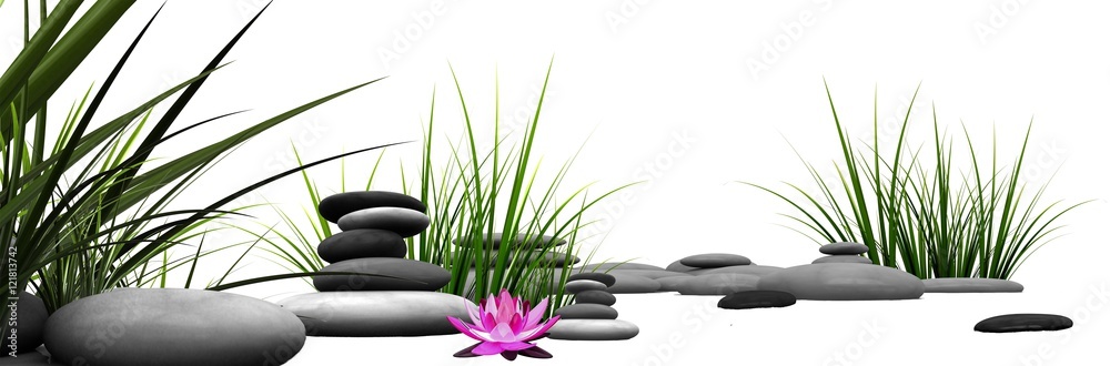 Obraz premium Trawa i kamienie z różową lilią wodną 