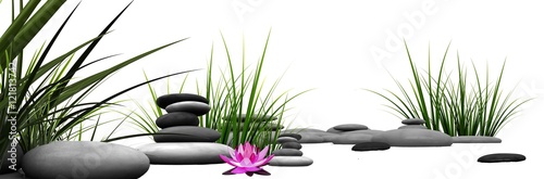 Obraz Trawa i kamienie z różową lilią wodną 