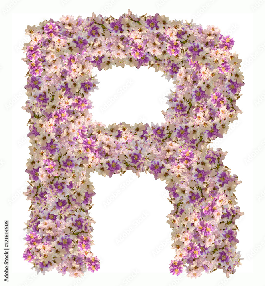 Letter R alphabet with zinnia flower ABC concept type as logo. Typography design Letter R alphabet with zinnia flower ABC concept type as logo. Typography design