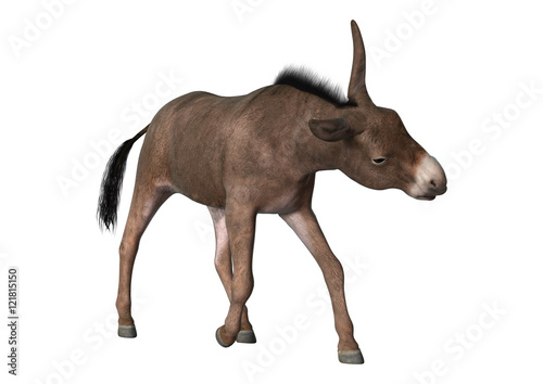 3D Rendering Donkey on White