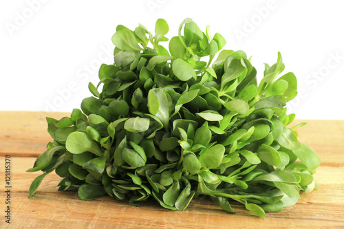 Purslane