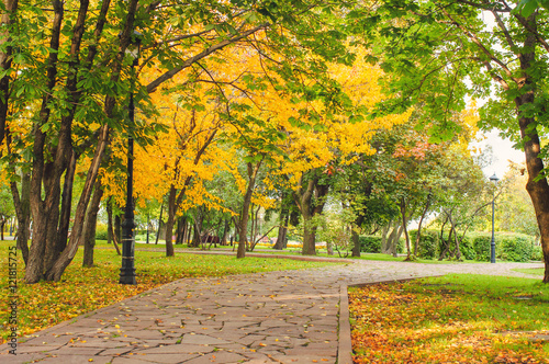 Colorful foliage in the autumn park