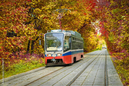 Tram going through the autumn park in Sokolniki