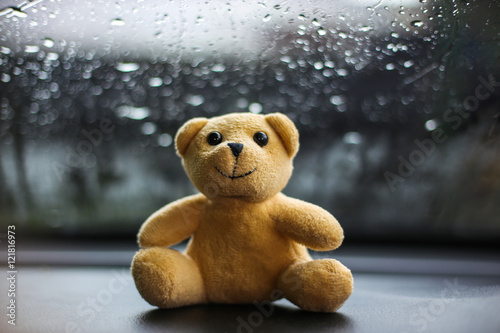 little bear doll with natural background