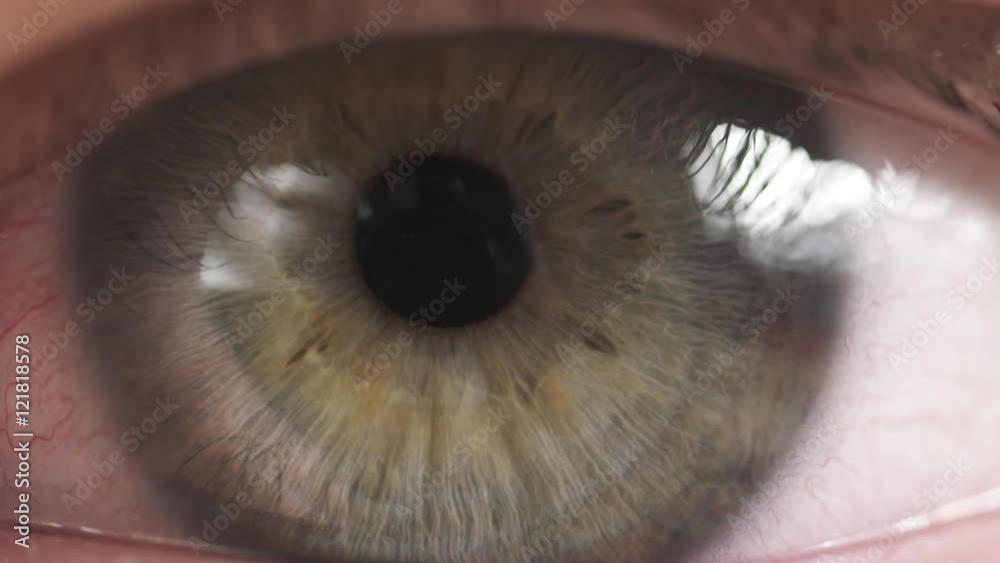 super macro shot of female teen green eye in slow motion