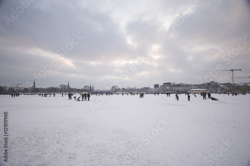 snow and alster in winter