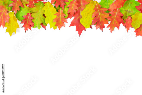 Herbstlaub, bunte Blätter isoliert