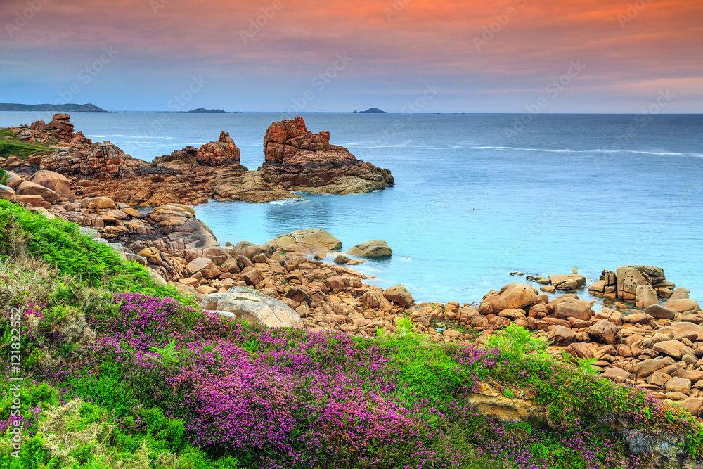 Naklejka premium Atlantic ocean coast in Brittany region,Ploumanach,France,Europe