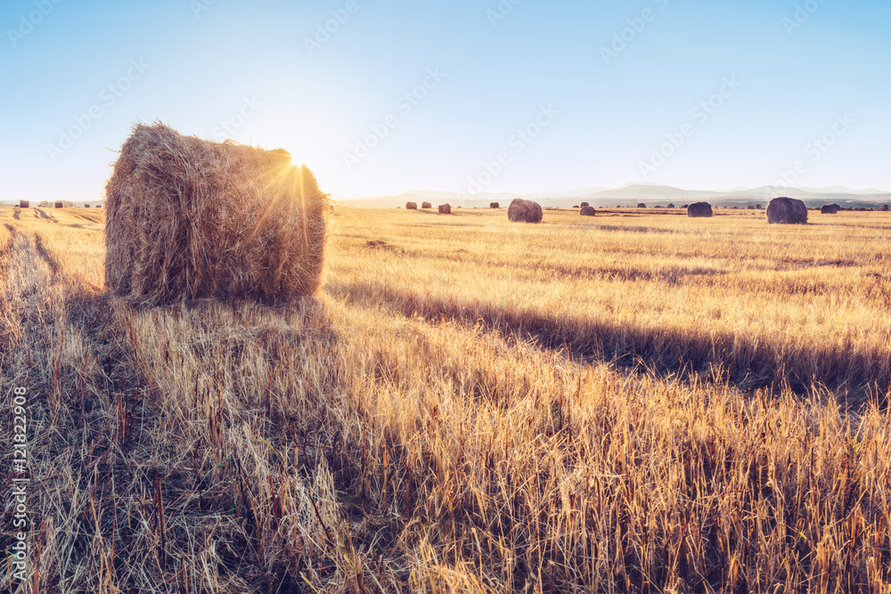 A stack of hay/A stack of hay in a field of wheat at sunrise