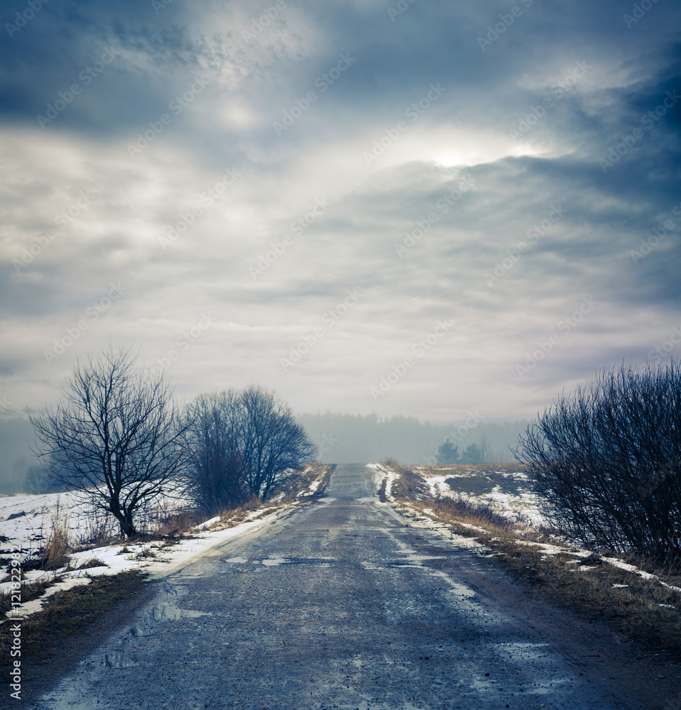 Fototapeta premium Winter Landscape with Dirty Road and Moody Sky