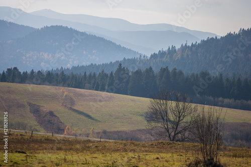Fototapeta Naklejka Na Ścianę i Meble -  Bieszczady - jesień w Otrycie