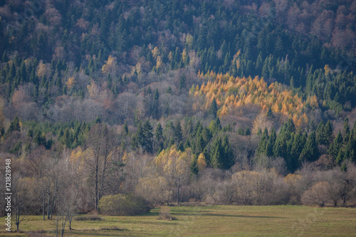 Fototapeta Naklejka Na Ścianę i Meble -  Bieszczady - jesień w Otrycie