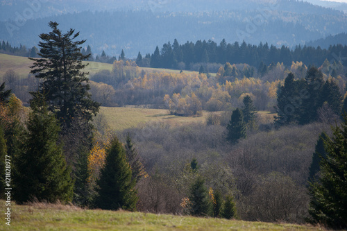 Fototapeta Naklejka Na Ścianę i Meble -  Bieszczady - jesień w Otrycie