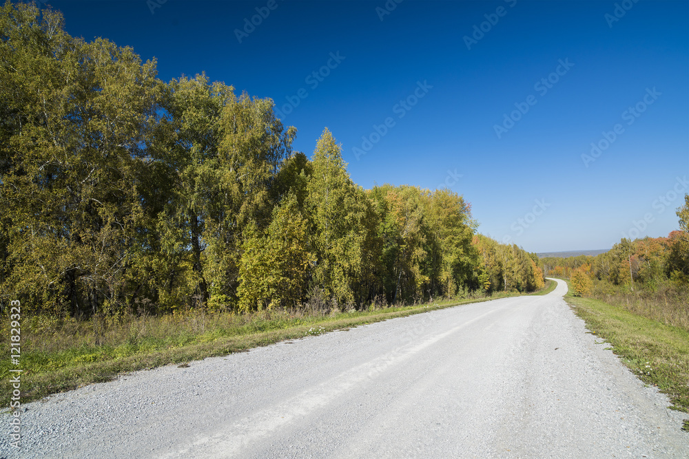 Fototapeta premium dirt road among fields