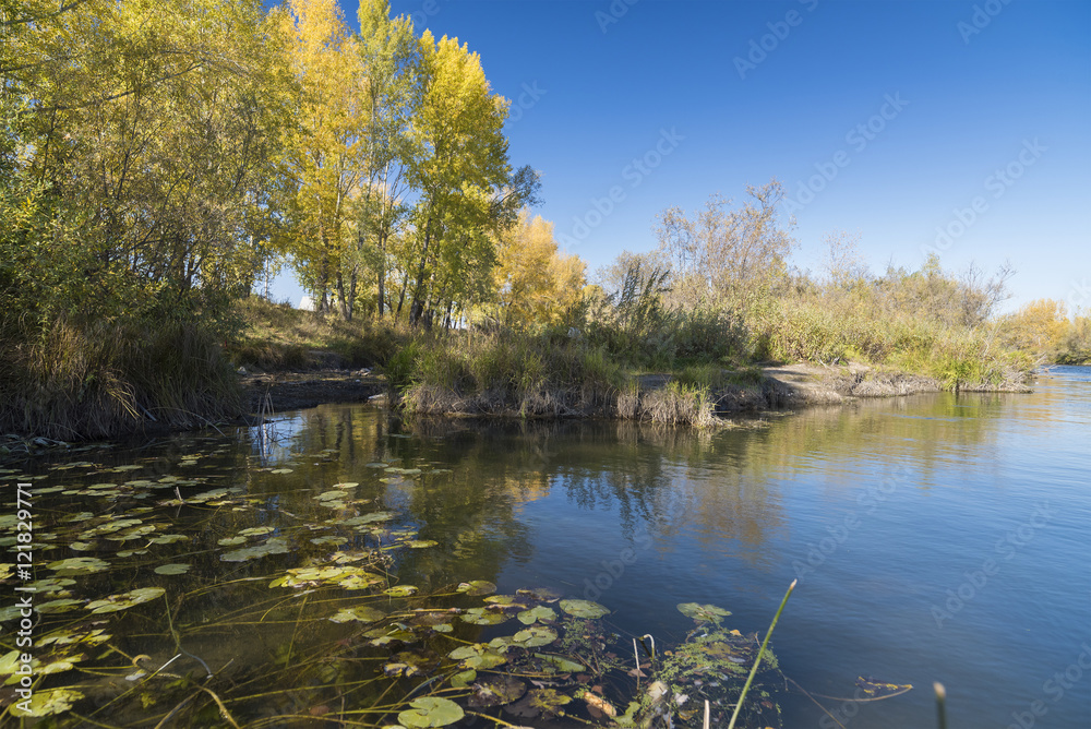 Fototapeta premium autumn landscape with a river view