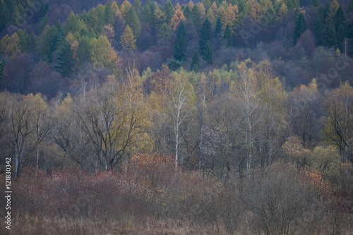 Fototapeta Naklejka Na Ścianę i Meble -  Jesienny las w Bieszczadach - Otryt