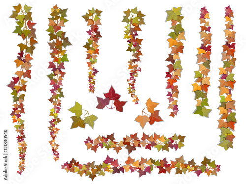 Set of autumn vector ivy branches, growing from the top downwards and upwards. This elements can be used as a Art Brush to create of any curled from for decorate card, frames and corners.