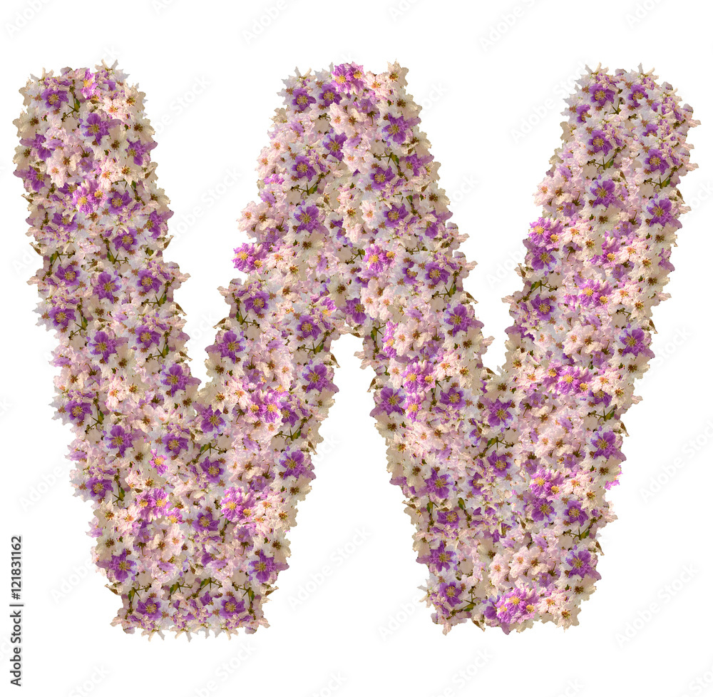 Letter W alphabet with zinnia flower ABC concept type as logo. Typography design Letter W alphabet with zinnia flower ABC concept type as logo. Typography design