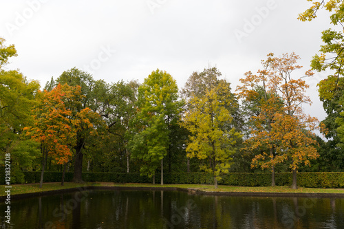 four kinds of trees in autumn park park