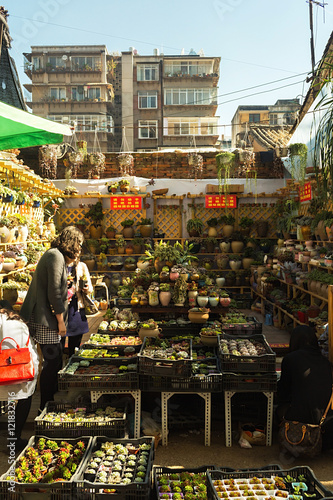 People in Flowers and Birds Market of Kunming is located in the center of Kunming’s downtown area, Yunnan, China.