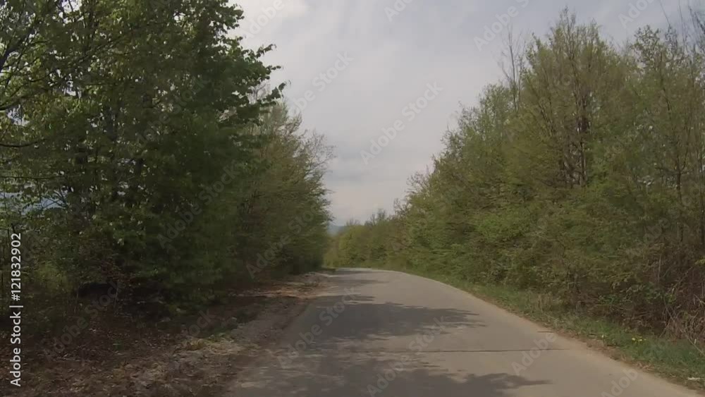 Videos background move forward. Car traveling through a green forest. Videos background move forward. Car traveling through a green forest.