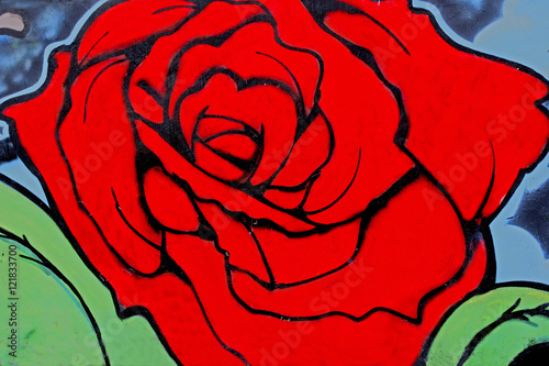 Beautiful rose flower art of graffiti in the wall