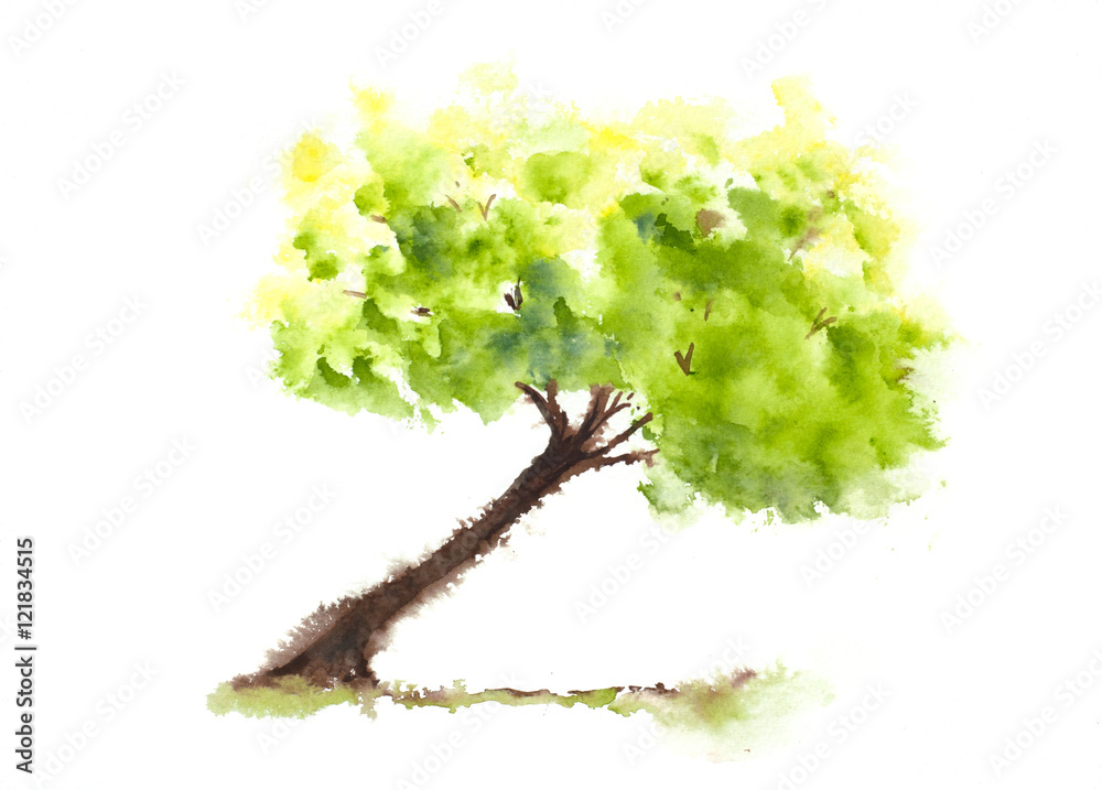 Fototapeta premium Watercolor painting, green tree painting, hand painted, impressionist style