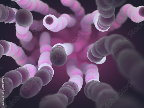 Streptococcus Pneumoniae, or pneumococcus, is a gram-positive bacteria.