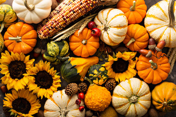 Fall background with pumpkins