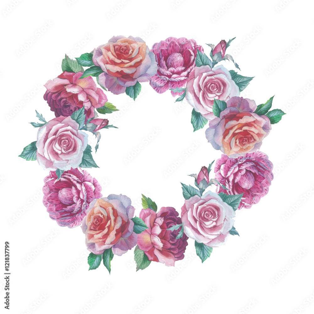 Wildflower rose flower wreath in a watercolor style isolated. Full name of the plant: rose, platyrhodon, rosa. Aquarelle flower could be used for background, texture, pattern, frame or border.