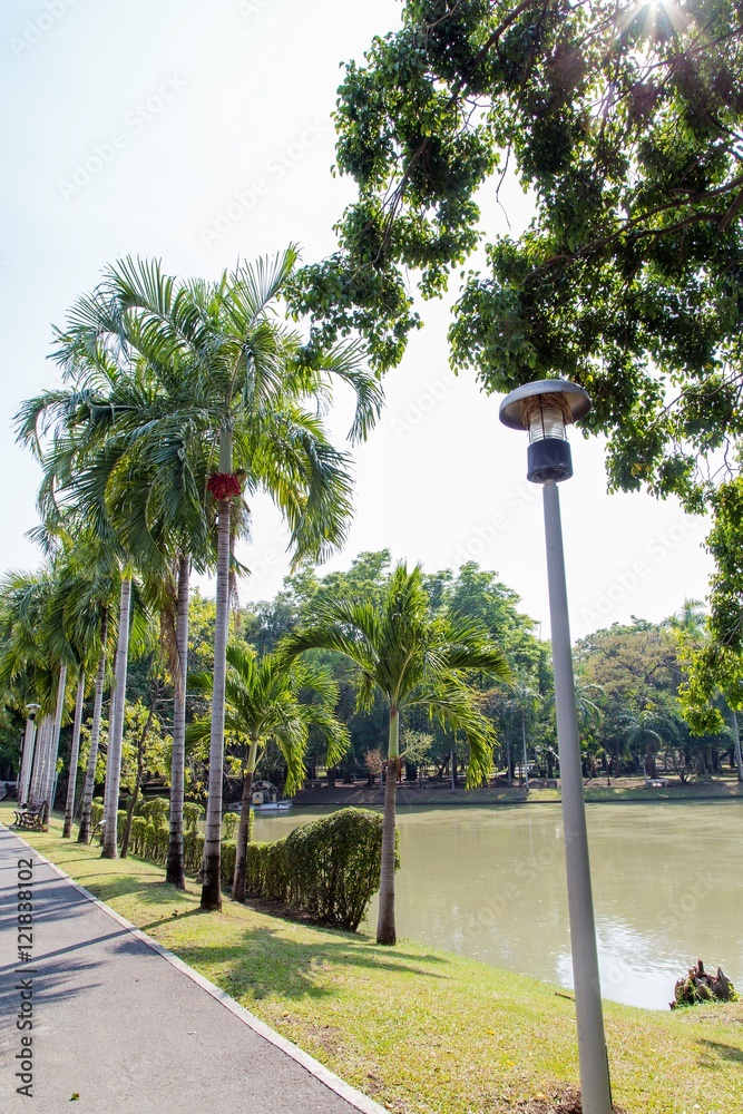 Obraz premium pathway in green city park 