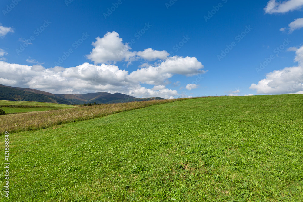 Green meadow, mountain and sky with clouds Green meadow, mountain and sky with clouds