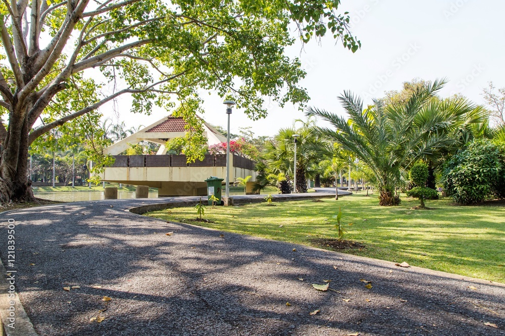 Obraz premium pathway in green city park 