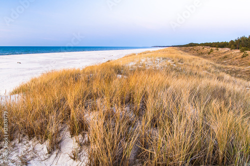 beautiful view of the coastal dunes