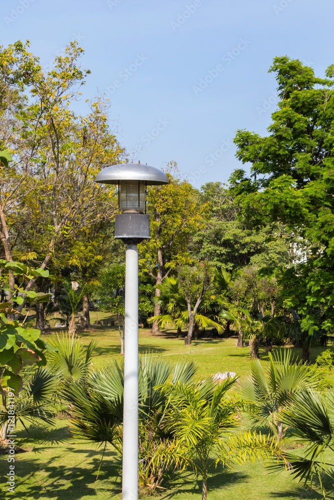 lamp in the park