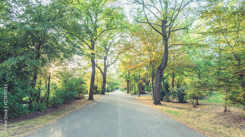 Allee im Spätsommer