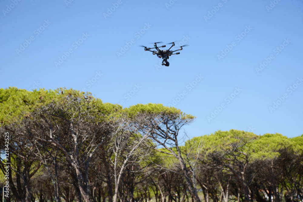 drone hovering over trees drone hovering over trees