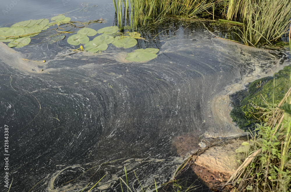 Naklejka premium polluted river bank