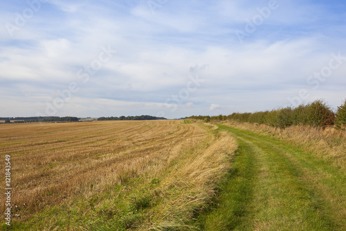 Foto bridleway in late summer