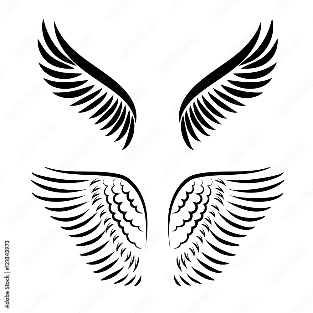 Abstract vector illustration wings set isolated on white background Abstract vector illustration wings set isolated on white background