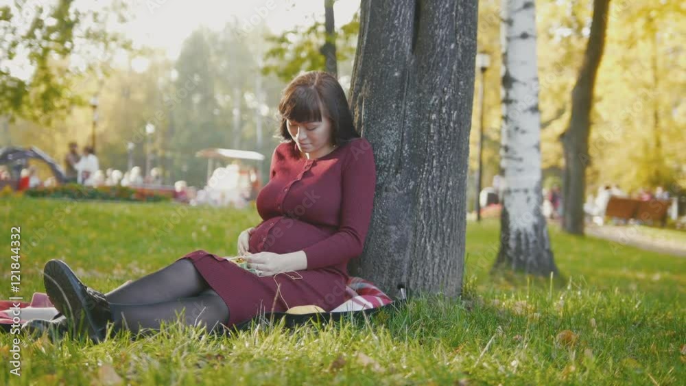 4K Cute happy pregnant woman in red dress sitting on blanket and stroking tummy in the autumn park at sunset, slide shot 4K Cute happy pregnant woman in red dress sitting on blanket and stroking tummy in the autumn park at sunset, slide shot
