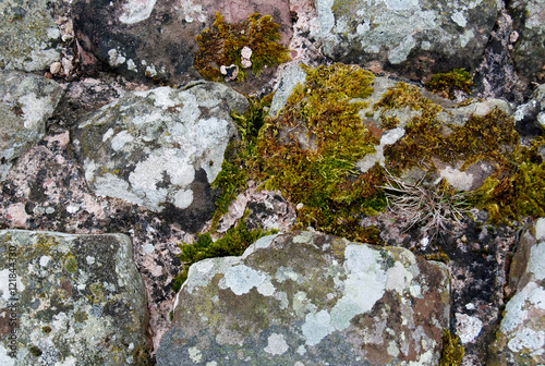 old castle brick wall stone texture