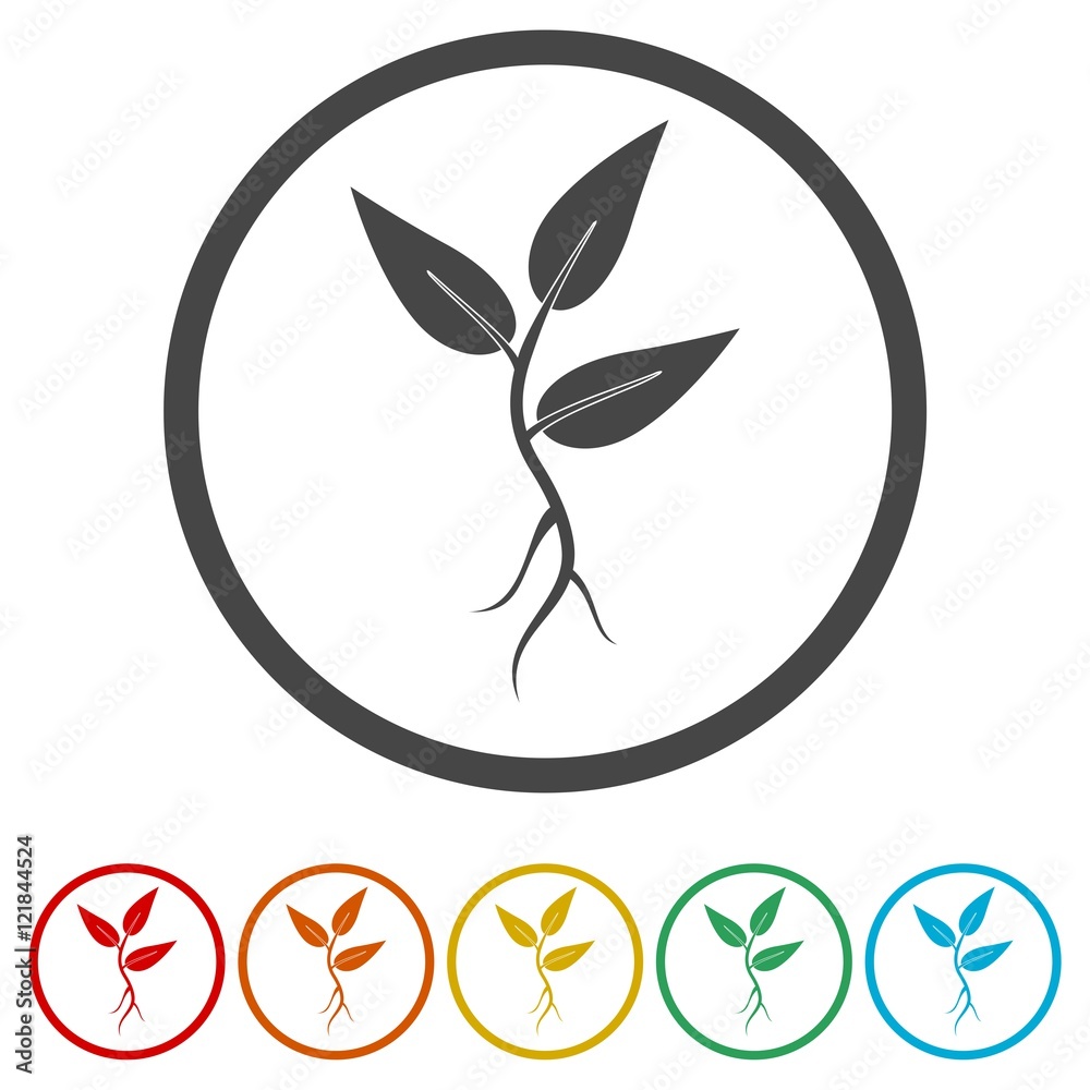Plant vector icon. Style is flat rounded symbol Plant vector icon. Style is flat rounded symbol
