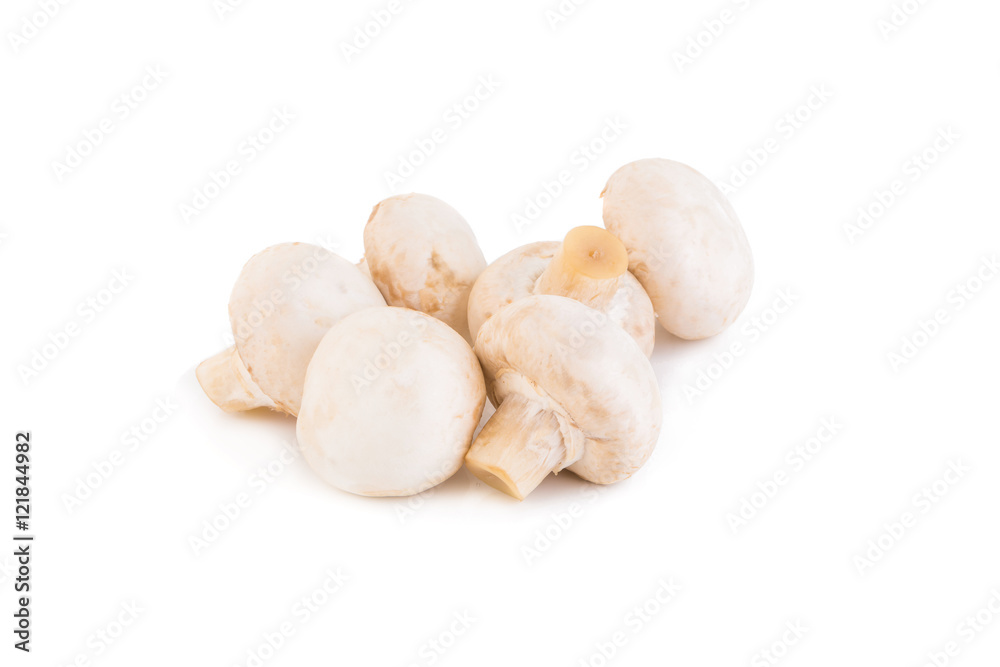 Champignon Isolated on White Background Champignon Isolated on White Background