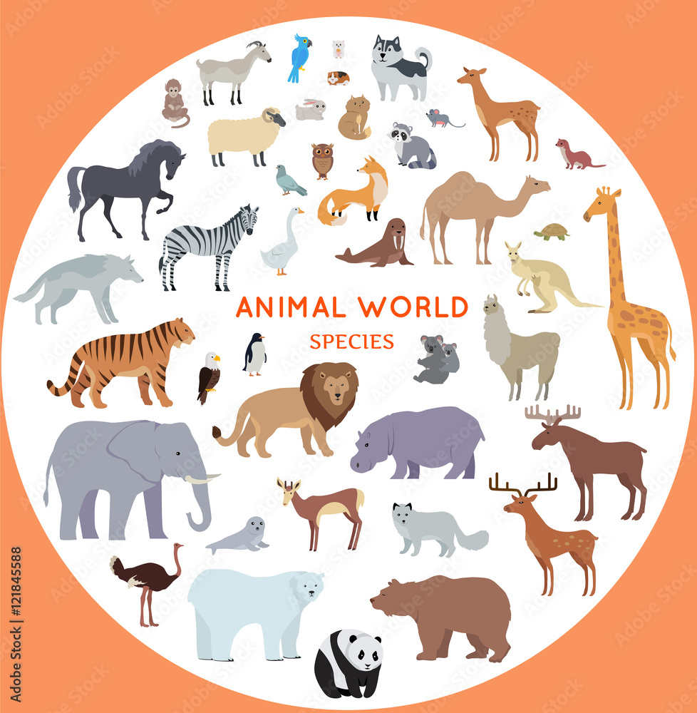 Set of World Animal Species Vector Illustrations. Stock Vector | Adobe Stock