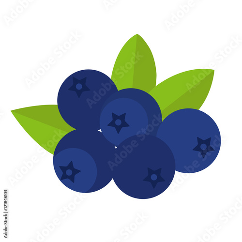 Flat icon blueberries with leaves. Vector illustration.